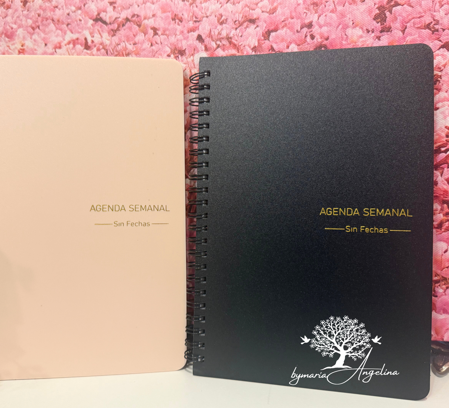 Agenda semanal diseñada para organizar tu días
