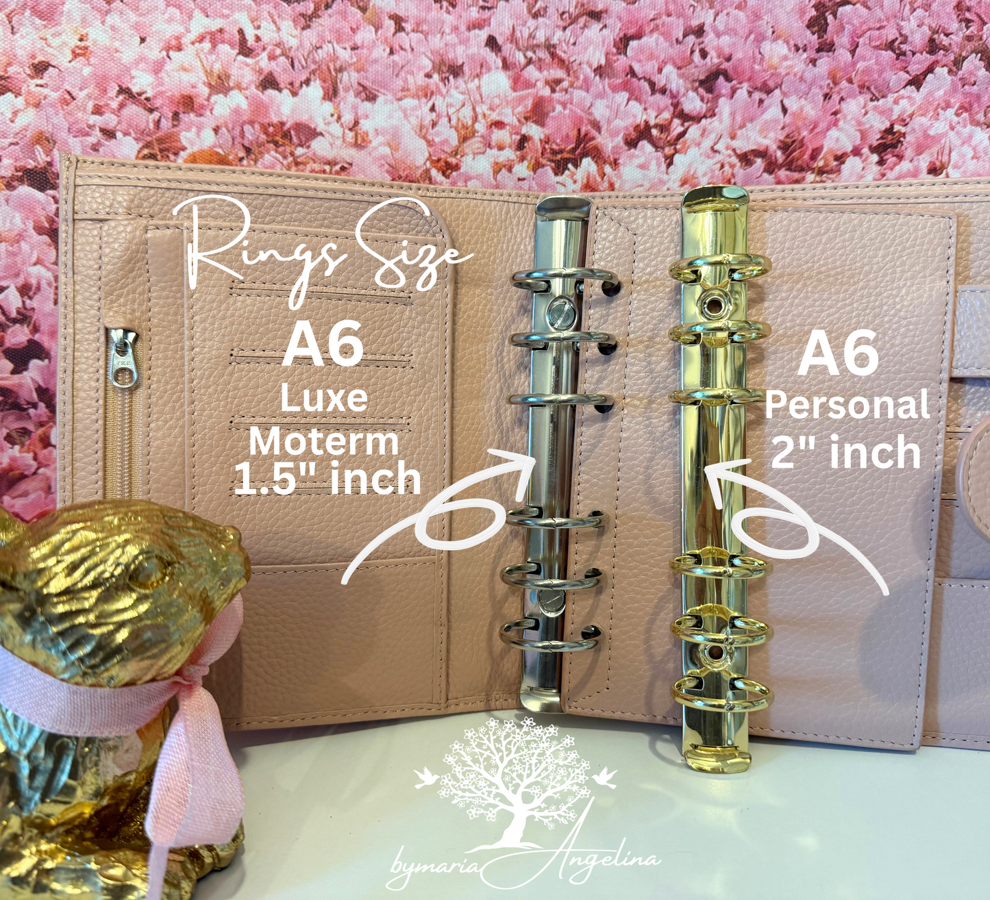 Beary Dollar Days Dashboard