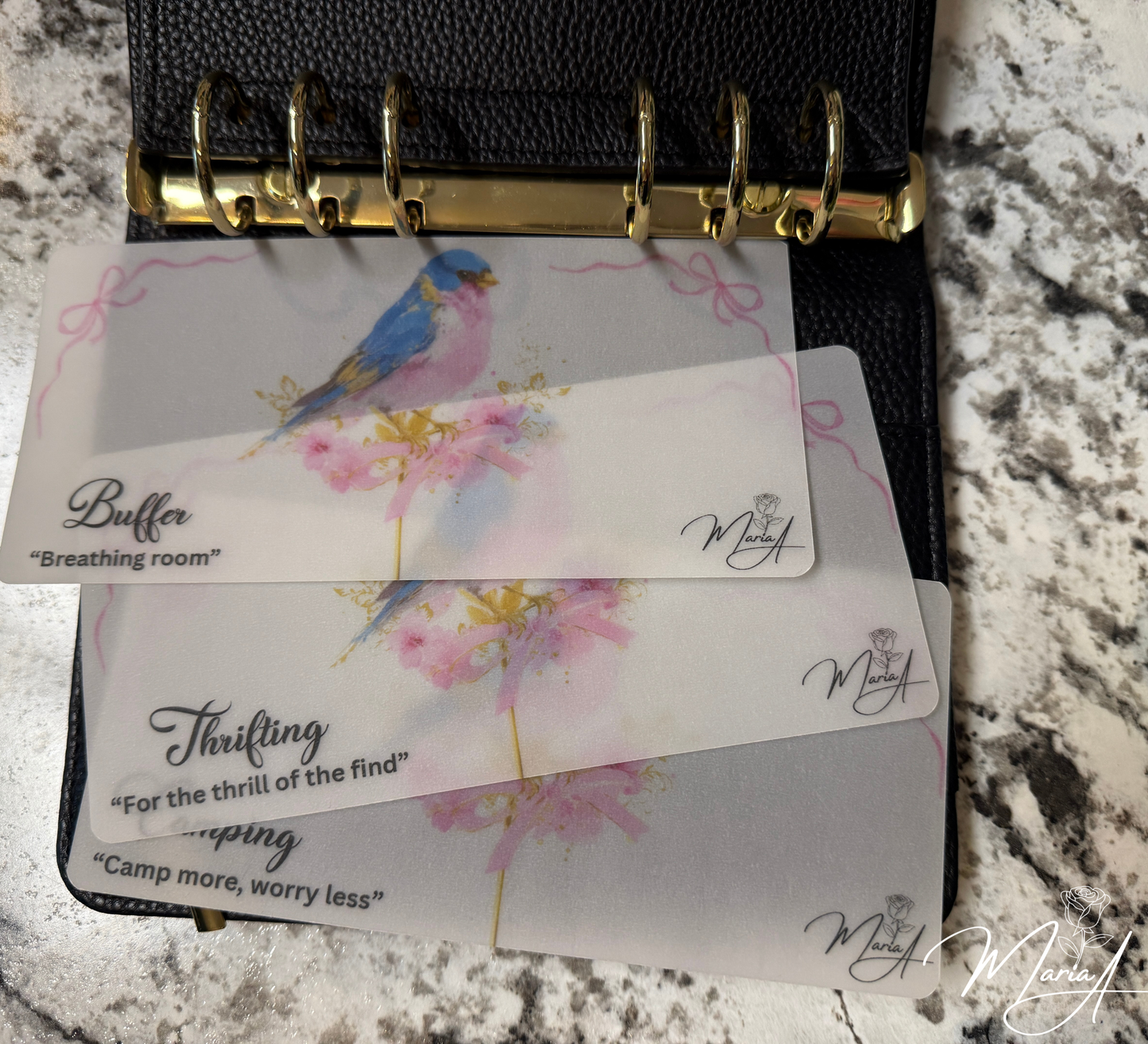 Bluebird Daydream Cash Envelope Inserts-6 Pcs